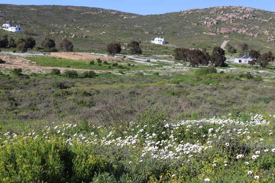 0 Bedroom Property for Sale in Steenbergs Cove Western Cape